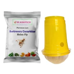 SK Agrotech Bactrocera Cucurbitae Melon Fly Pheromone Trap With Lure For Vegetables 1