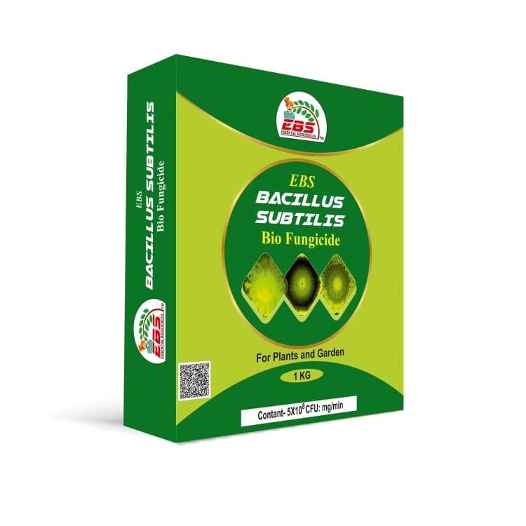 EBS Bacillus Subtilis Bio Fungicide Powder, Control Downy Mildew, Powdery Mildew And Bacterial Diseases For Plants And Home Garden