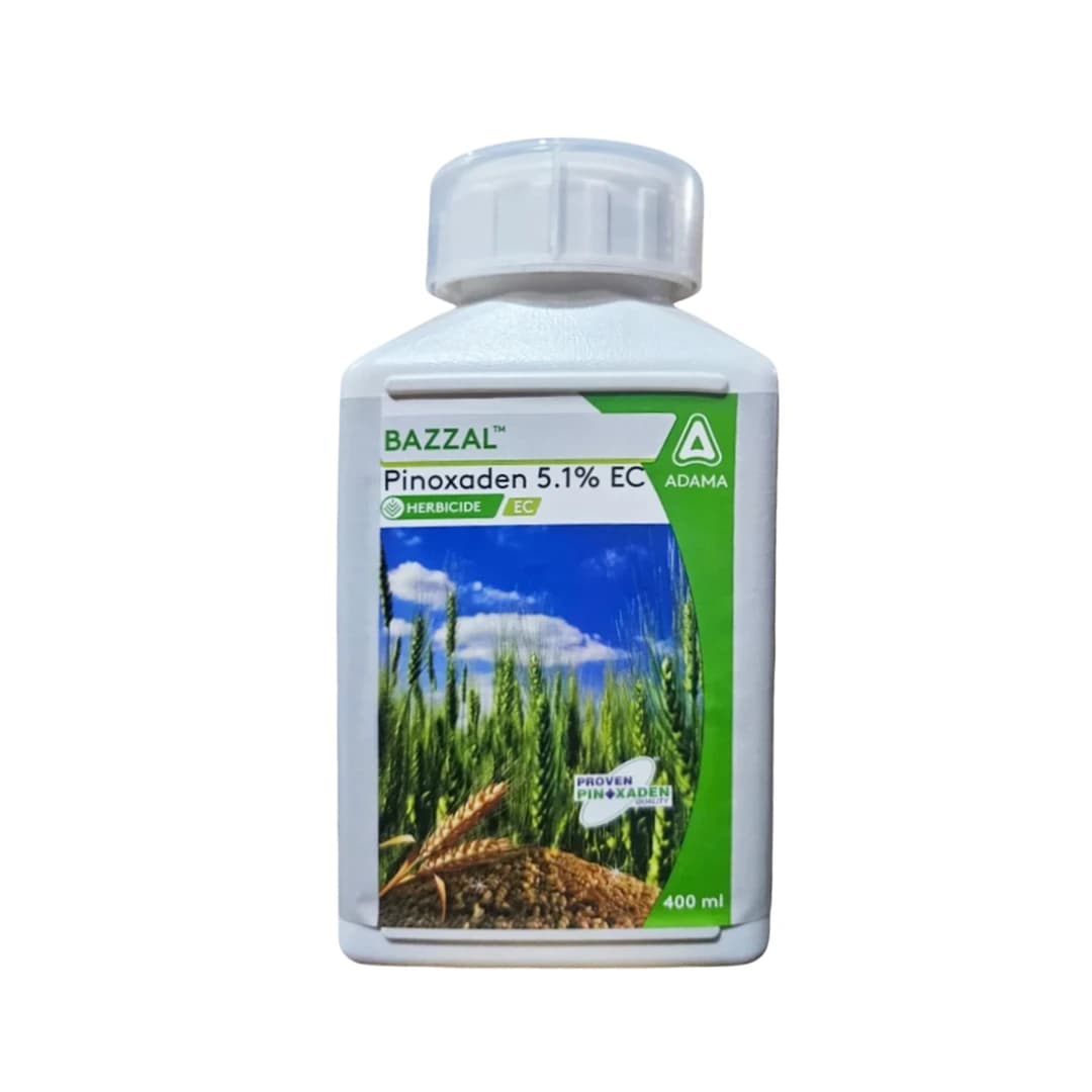 Adama Bazzal Pinoxaden 5.1% EC, Control Of Important Grass Weeds Like Phalaris Minor And Avena Ludoviciana In Wheat - Image 1