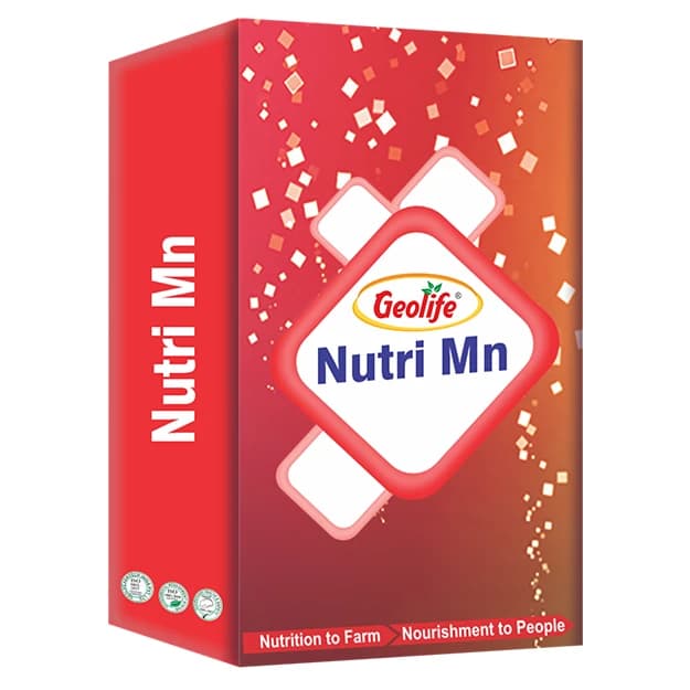 Geolife Nutri Mn, Mn 26.6%, 100% Water Soluble Essential For Chlorophyll Production And Photosynthesis - Image 1