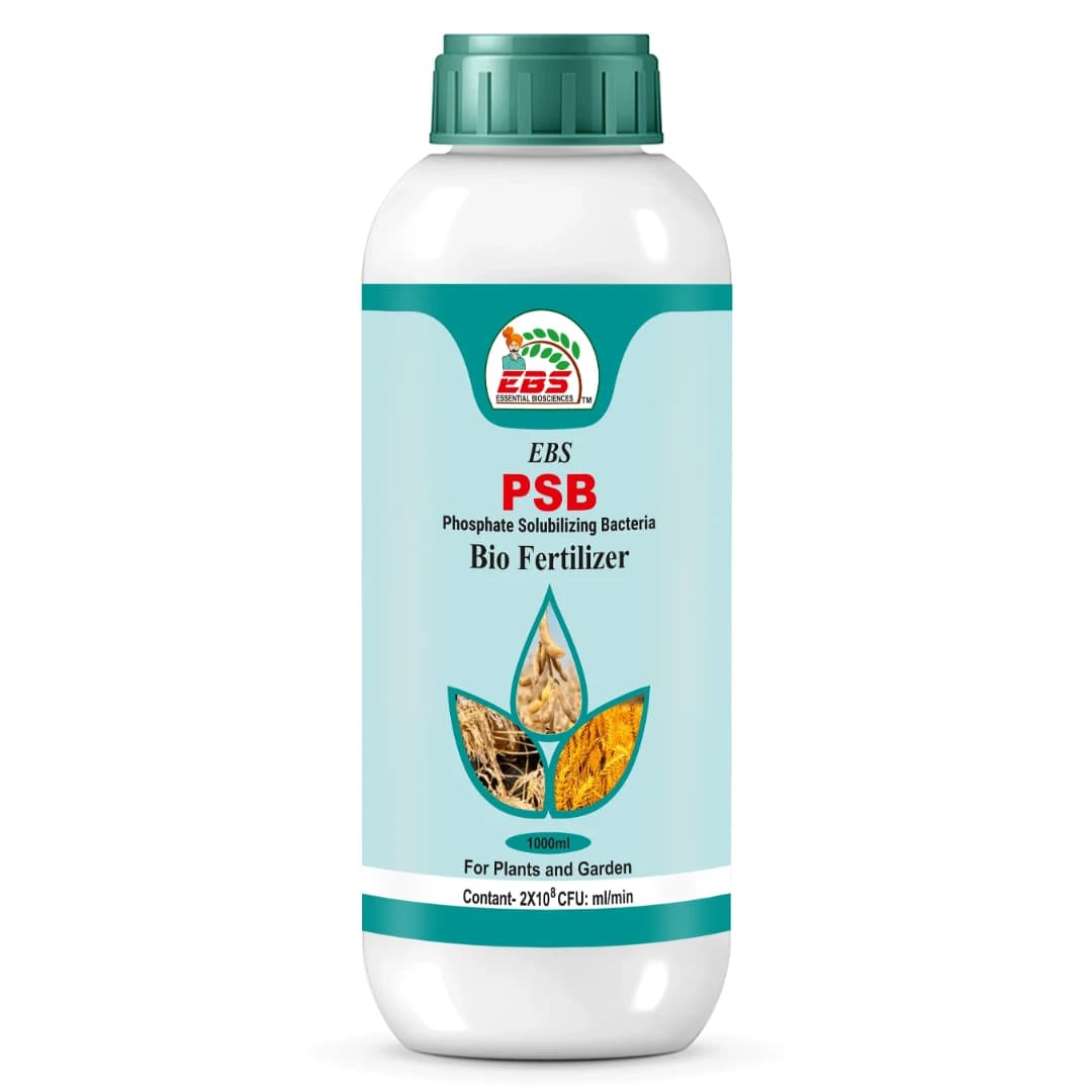 EBS PSB Phosphate Solubilising Bacteria Bio Fertilizer beneficial to pulses and useful in all crops and under all climates