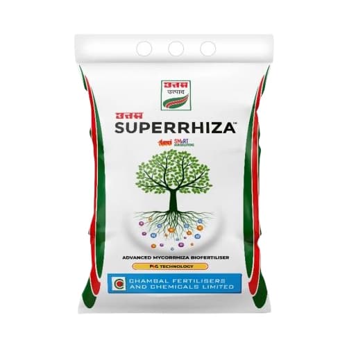 Uttam Superrhiza Vesicular Arbuscular Mycorrhiza (VAM) Biofertiliser, Organic Manure Fertilizers And Compost, Soil Mix For All Plants - Image 1