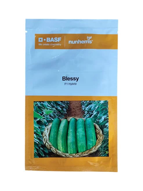 Nunhems Blessy F1 Hybrid Cucumber Seeds - Image 1