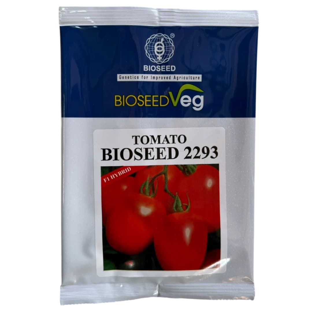 BIOSEED 2293 F1 Hybrid Tomato Seeds, Suitable For All Seasons - Image 1