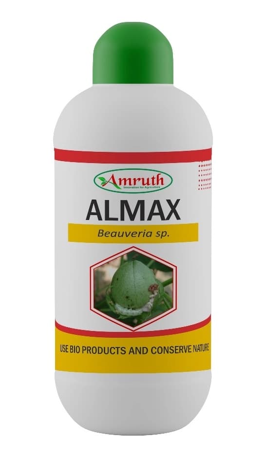 Amruth ALMAX (Bio Pesticides, Beauveria Bassiana) Effectively Controls Pests Such as Borers, Cutworms, Root Grubs, Leaf Hoppers,etc