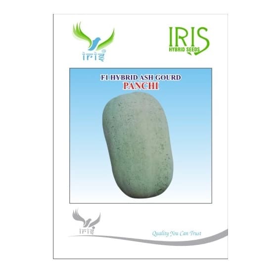 Iris Panchi F1 Hybrid Ash Gourd Seeds, Long Fruits With Vigorous Growth And Shelf Life - Image 1