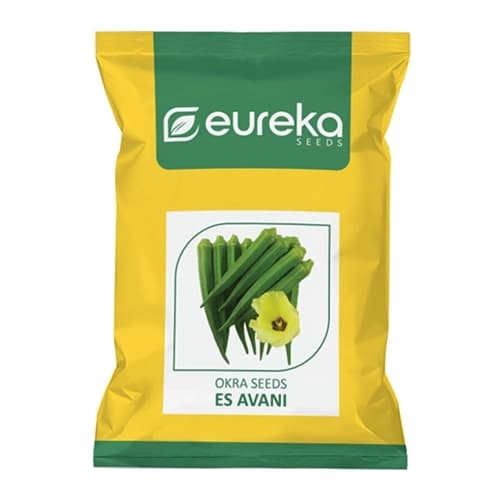 Eureka ES Avani Okra Seeds - Bhindi Seeds - Image 1