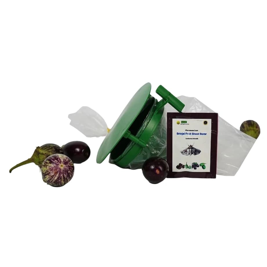 WAVAR Leucinodes Orbonalis Funnel Trap, Efficient For Brinjal Fruit Shoot Borer Pest, Effective Pest Management - Image 1