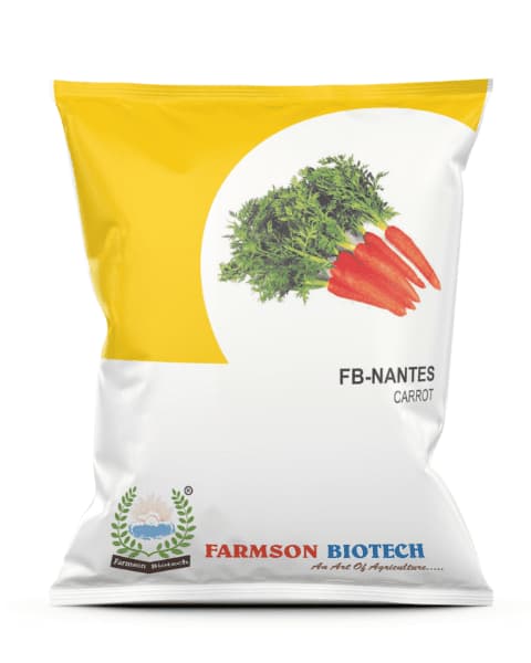 Farmson FB Nantes Carrot Seeds, Early To Mid Early Maturity, Deep Orange Color Root - Image 1