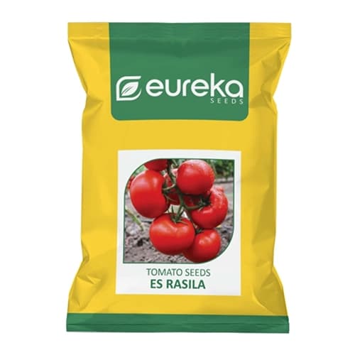Eureka ES RASILA Improved F1 Hybrid Tomato Seeds, Vigorous Plants, High Yield Variety - Image 1