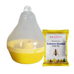 SK Agrotech Bactrocera Dorsalis Mac Phil Trap With Fruit Fly Lure - Effective Solution For Mango, Papaya, Pomegranate, Etc. 1