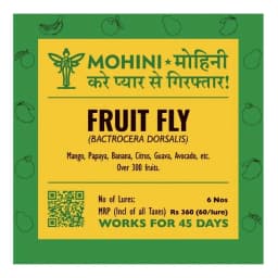 Biowall Mohini Fruit Fly Bactrocera Dorsalis, Pheromone Lure For Effective Pest Management 1