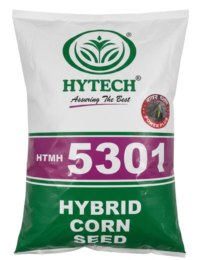Hytech HTMH 5301 Hybrid Corn Seed - Image 1