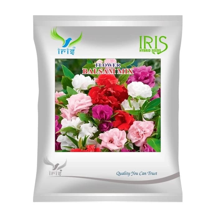 Iris Balsam Mix Hybrid OP Flower Seeds, Gul Mehandi Ke Phool, Annual Flower With Best Germination. - Image 1