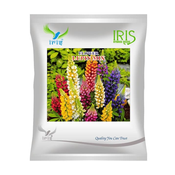 Iris Lupin Mix Hybrid OP Flower Seeds, Imported, Palm Shaped Foliage And Mixed Blooms - Image 1