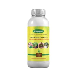 Premium Seaweed Extract Liquid for Plants Vegetables Flowers Fruits Promotes Plant Growth, Flowering, Fruiting - Keeps Plant Healthy and Greenish 1