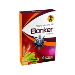 Ichiban Banker (Metribuzin 70% WP) Systemic and Contact Herbicide For Control Of Weeds 1