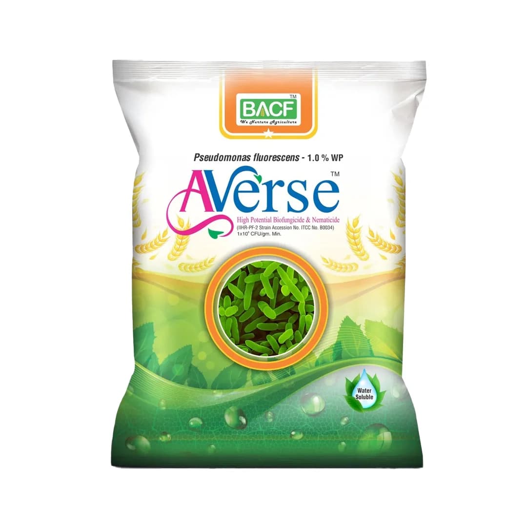 BACF Averse Pseudomonas fluorescens 1%WP Bio Pesticide , Selective Bio-Agent And Effectively Controls Soil-Borne
