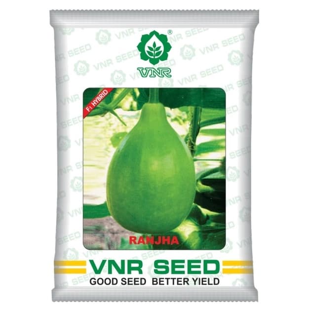 VNR F1 Hybrid Ranjha Bottle Gourd Seeds, Bulb-Shaped Fruits With High Yield