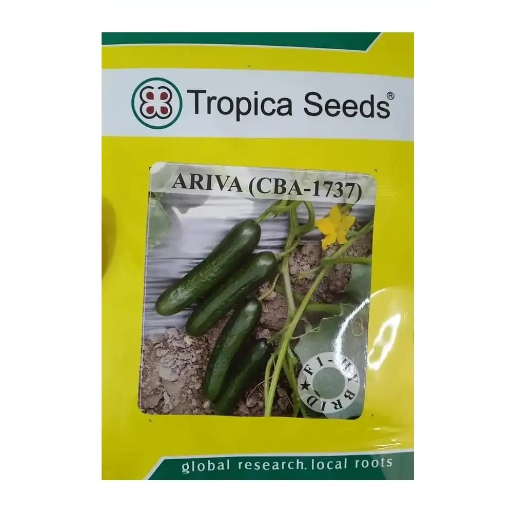 Tropica Seeds Ariva CBA-1737 Hybrid Cucumber Seeds, High Yield, Early Maturity, Attractive Green Fruits - Image 1