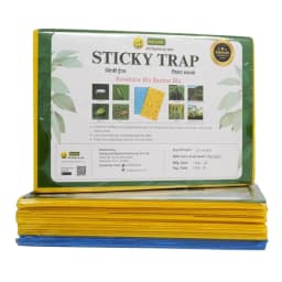 WAVAR A4 Sticky Trap, 12 x 8 Inch, 3mm Thickness, Eco Friendly (Combo Of 20 Yellow + 5 Blue) 1