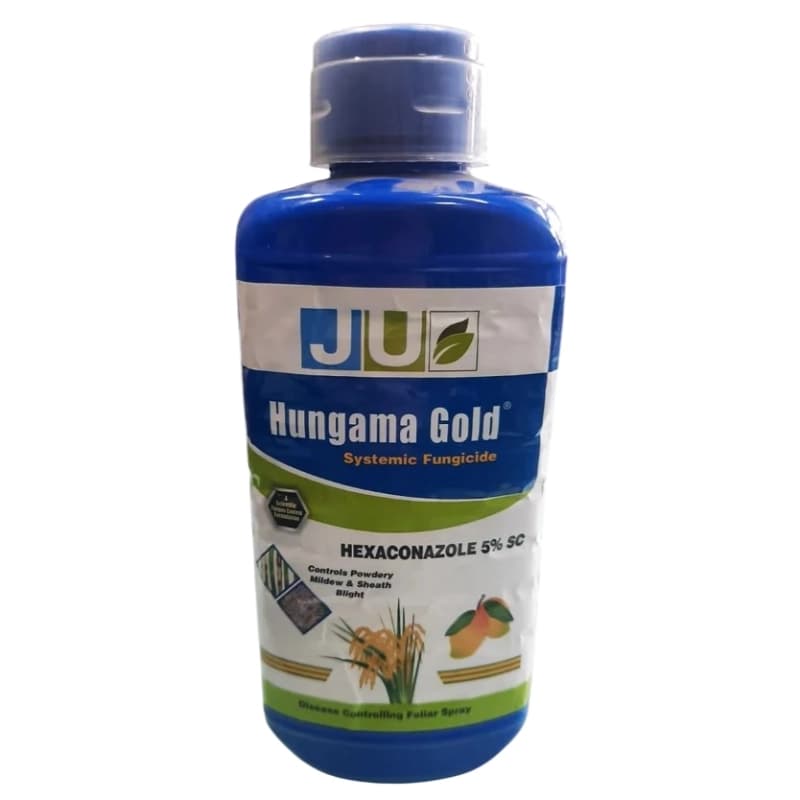 Ju Hungama Gold Hexaconazole 5% SC Fungicide, Highly Effective for the Control of Sheath Blight In Rice and Powdery Mildew in Mango - Image 1