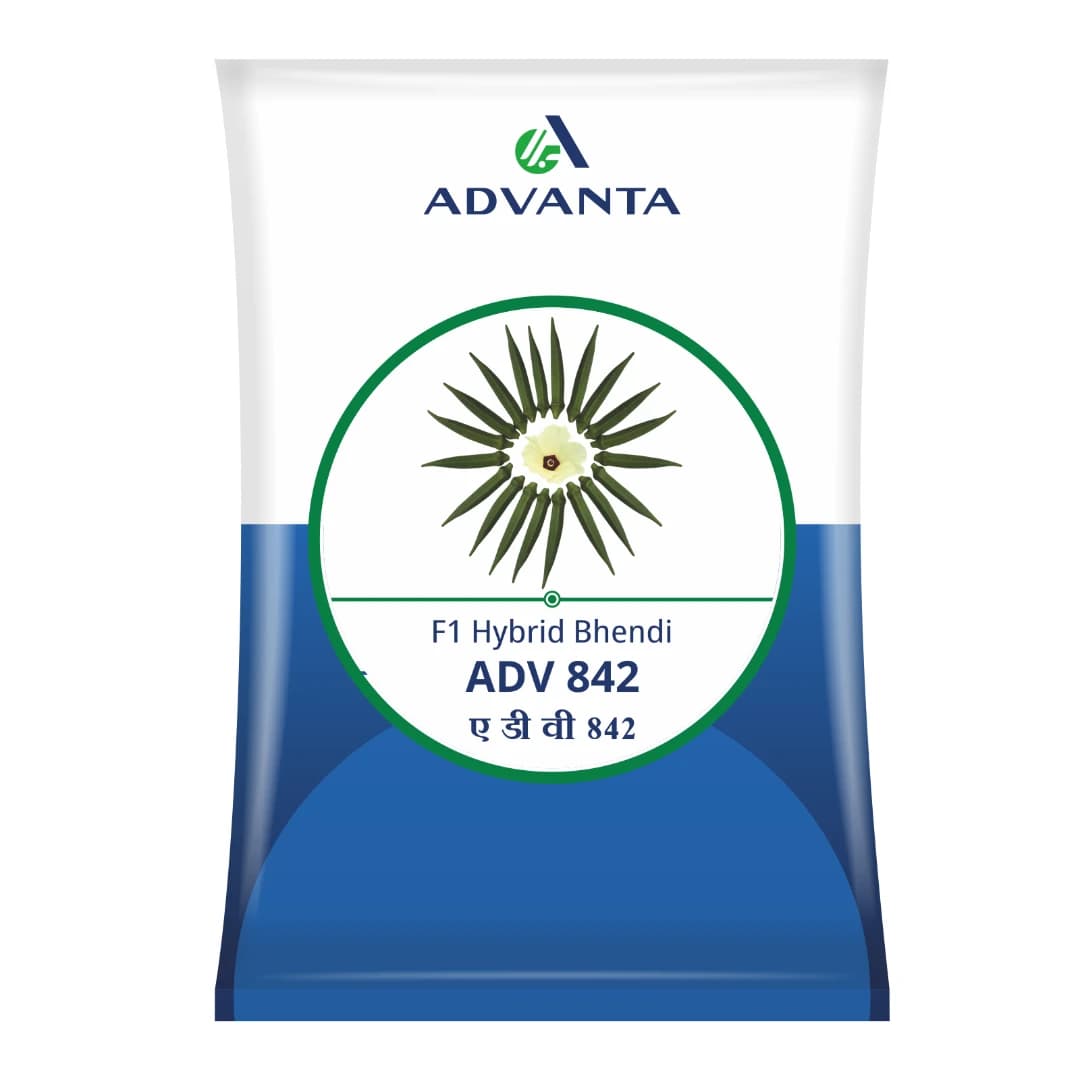 Advanta ADV 842 Okra Seeds - Bhindi Seeds - Image 1