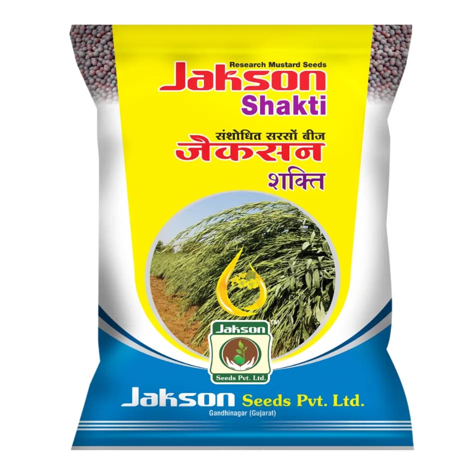 Jakson Shakti Research F1 Hybrid Mustard Seeds, High Yield, Long Pods Variety - Image 1