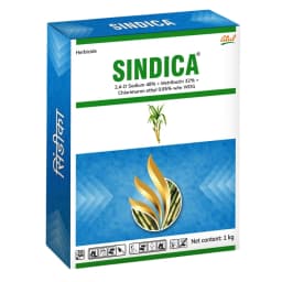 Atul SINDICA 2, 4-D Sodium 48% + Metribuzin 32% + Chlorimuron ethyl 0.85% WDG Herbicide, Effective Weeds Contol In Sugarcane Crops 1