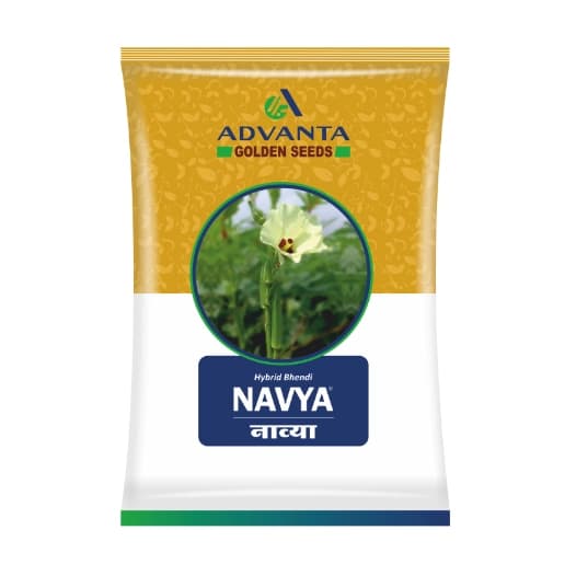 Advanta F1 Hybrid Navya Bhindi Seeds, Medium Tall and Round the Year Variety