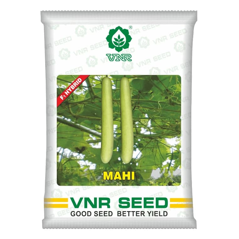 VNR Mahi F1 Hybrid Bottle Gourd Seeds, Cylindrical, High Yield Potential    - Image 1