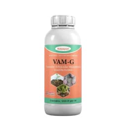 Katyayani VAM-G Vesicular Arbuscular Mycorrhiza Bio Fertilizer, Boosts Root Growth, And Improves Soil Health 1