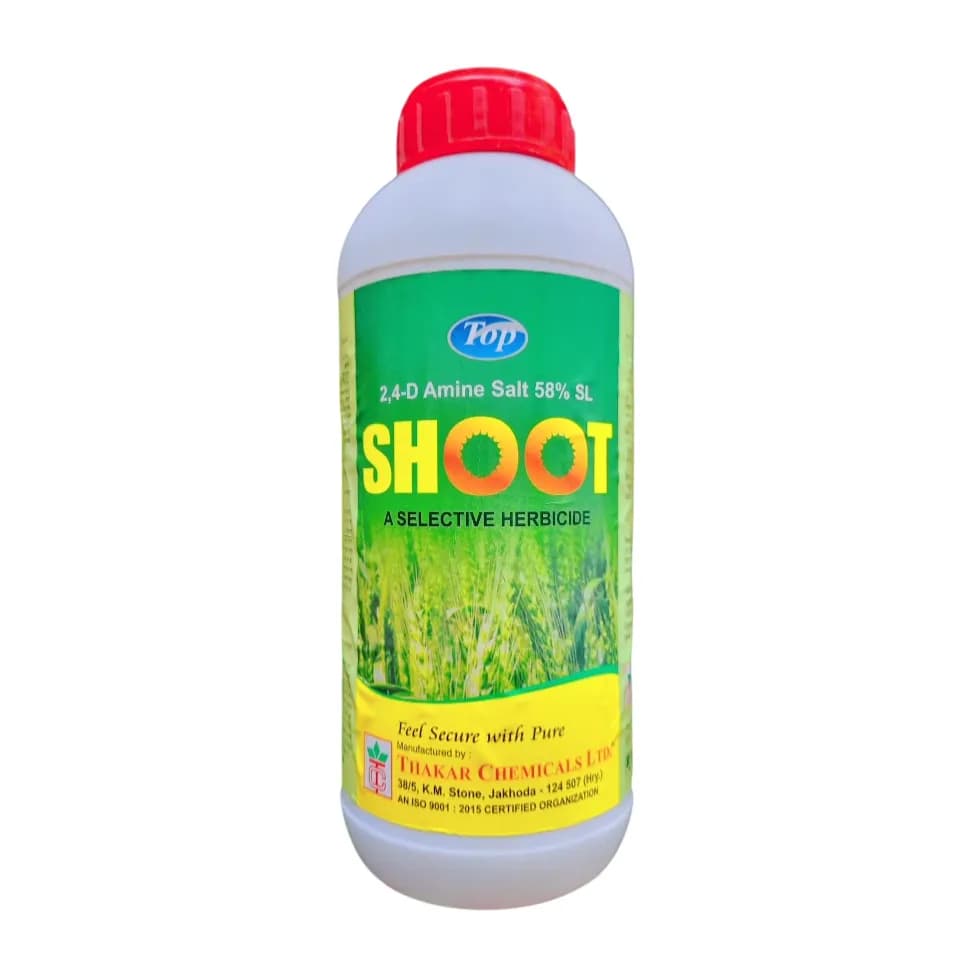 Thakar SHOOT 2,4-D Amine Salt 58% SL Herbicide, Systemic For Control Of Broad Leaf Weeds - Image 1