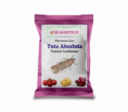 SK Agrotech Tuta Absoluta Tomato Leafminer Pheromone Trap With Lure - Effective Pest Control For Tomatoes 11