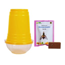 WAVAR Fruit Fly Trap Dorsalis Lure, Bactrocera Dorsalis, Effective Fruit Fly Pest Control 1