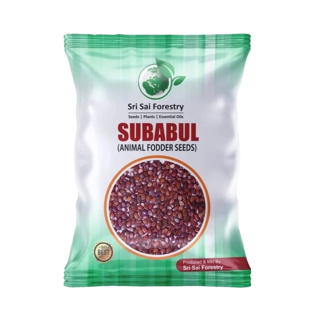 Sri Sai Forestry Subabul Seeds (Leucaena Leucocephala), Safed Babool, Ideal For Fodder Green Manure Plantation And Live Fencing - Image 1