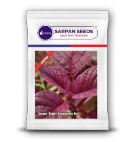 Sarpan Seeds Sarpan Rajgiri Amaranthus Red, Dark Red Color, Broad Leaves    1