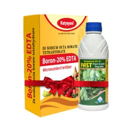 Katyayani Onion Bulb Growth Booster Combo, Advanced Nutrient Solution (Fast 100ml, Boron 20% EDTA 400gm) 1