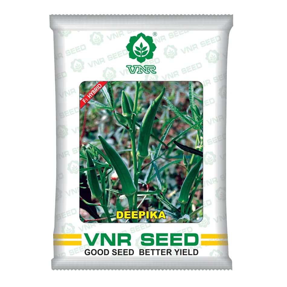 VNR Deepika F1 Hybrid Okra Seeds, High Yielding, Attractive with Uniform Fruits