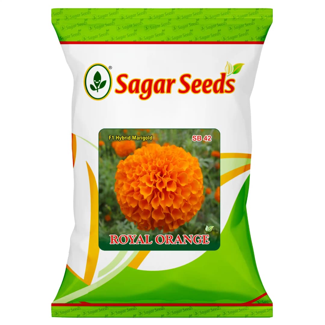 Sagar Royal Orange F1 Hybrid Marigold Seeds, Genda Ke Beej For Garden Plants - Image 1