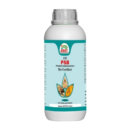 EBS PSB Phosphate Solubilising Bacteria Bio Fertilizer beneficial to pulses and useful in all crops and under all climates