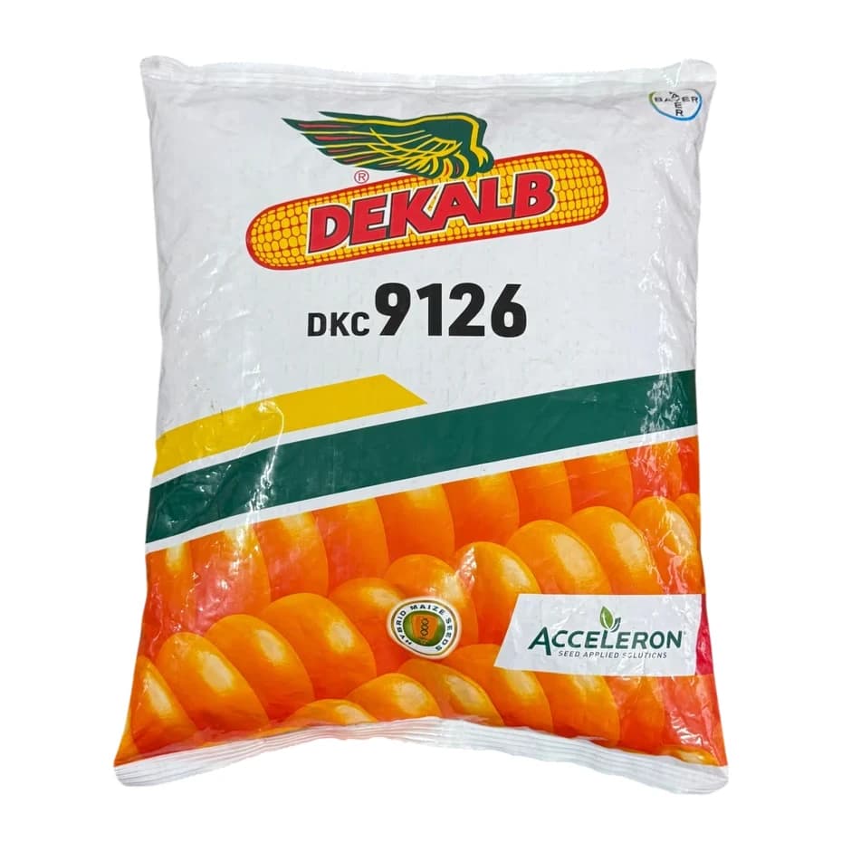 Bayer Monsanto DEKALB DKC 9126 Hybrid Corn, Maize Seeds , Makka Seeds, High Yeilding, Kharif Crop