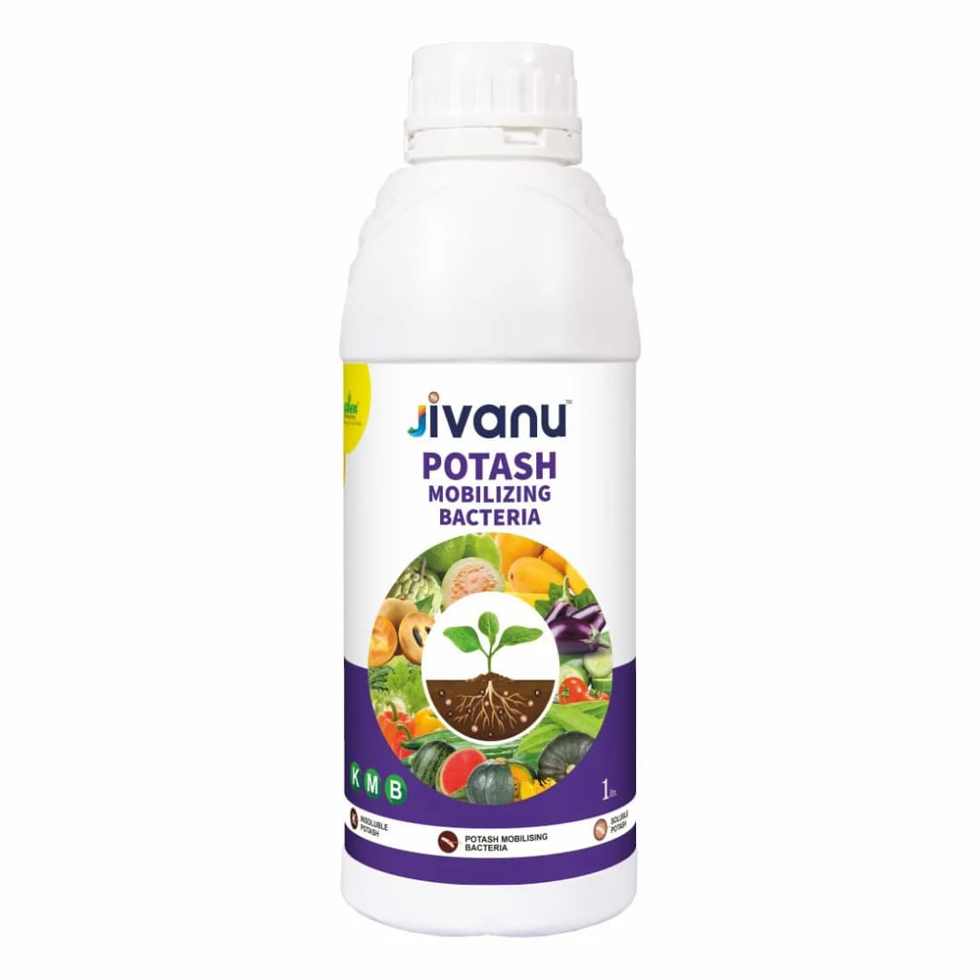 Green Revolution Jivanu KMB Potash Mobilizing Bacteria Liquid Bio Fertilizer