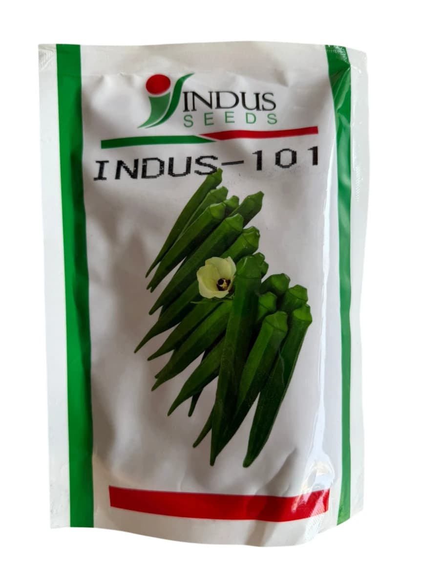 Indus-101 Okra Seeds - Bhindi Seeds - Image 1