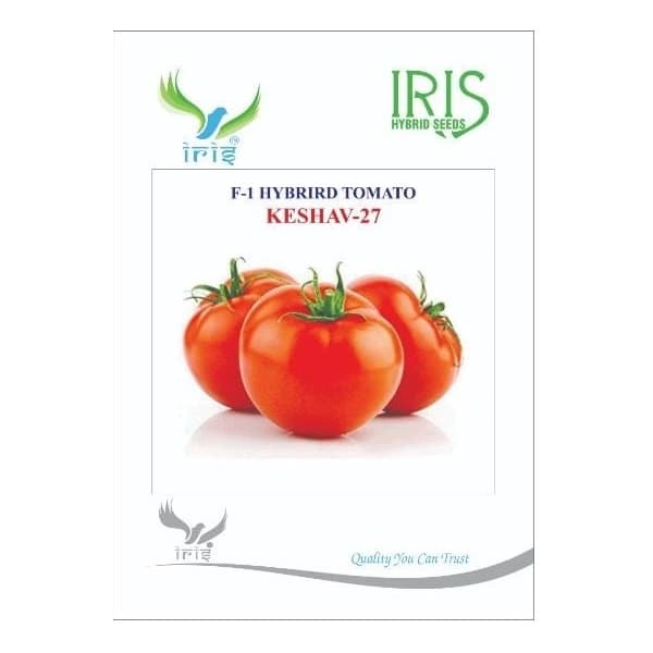 Iris Keshav-27 F1 Hybrid Tomato Seeds, Flat-Round, Semi Determinate, TYLCV Tolerant Variety - Image 1