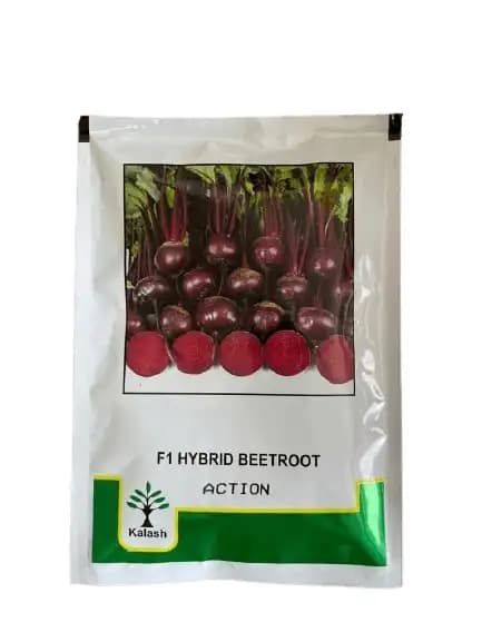 Kalash F1 Hybrid Action Beetroot Seeds, Early Maturity and High Yield Variety