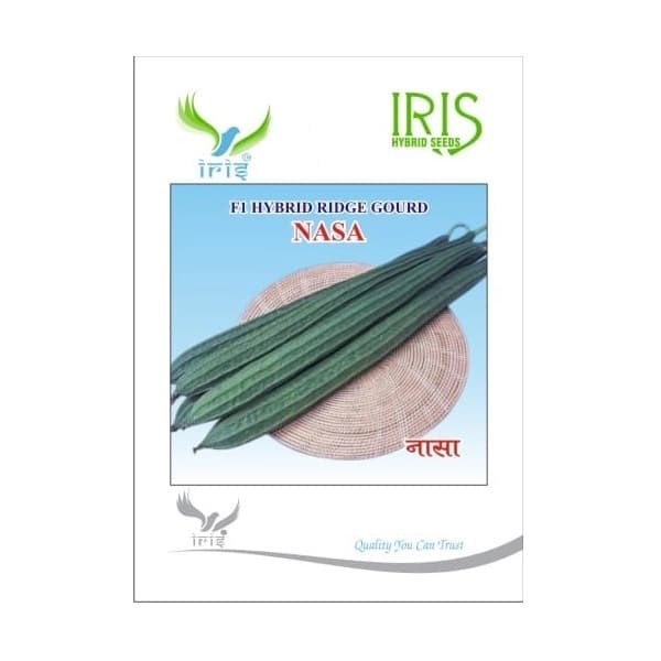 Iris Nasa F1 Hybrid Ridge Gourd Seeds, High Yield, Straight Fruits And Vigorous Growth