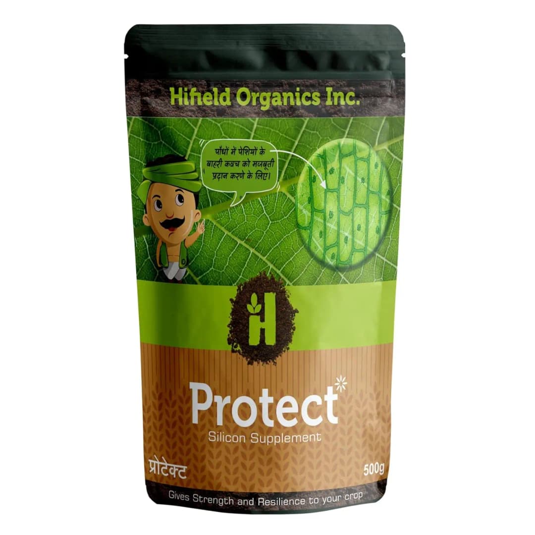 Hifield Protect Silicon Plant Supplement Fertilizer, Boost Immunity and Growth In All Crops