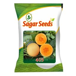 Sagar 403 F1 Hybrid Muskmelon Seeds, High Yield, Sweet And Aromatic With Disease Resistance 1