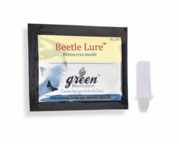 Pheromone Trap & Lure for RB (Rhinoceros Beetle) KOKO Activator Free, For Coconut, Date Palm, Oil Palm, Arecanut Palm. 7